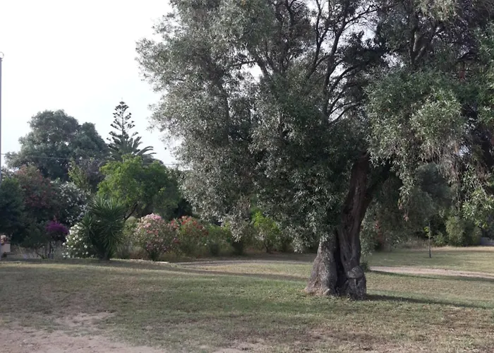 La Tanca